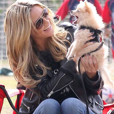 Heidi Klum vernarrt in Buttercup