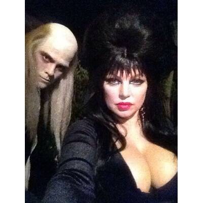 Die Halloween-Kostüme der Stars