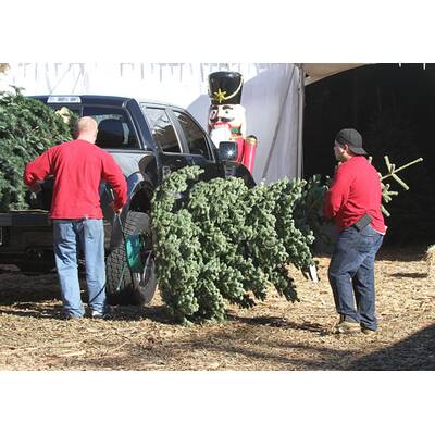 Heidi Klum & Familie suchen Christbaum aus