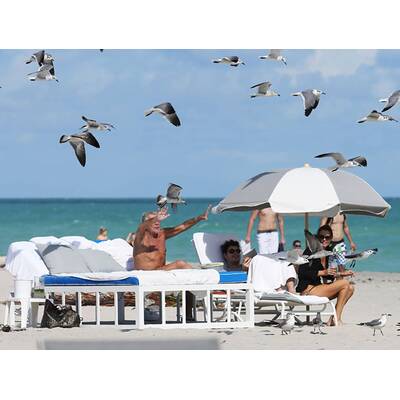 Roberto Cavalli mit Freundin in Miami