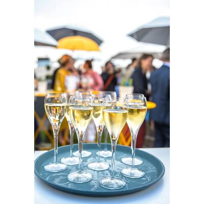 Belvedere Sky Garden Opening