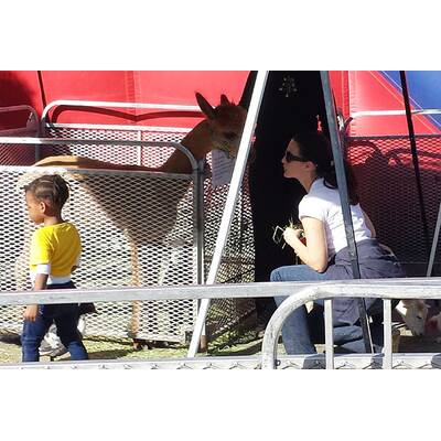 Kristin Davis mit Tochter am Farmer's Market