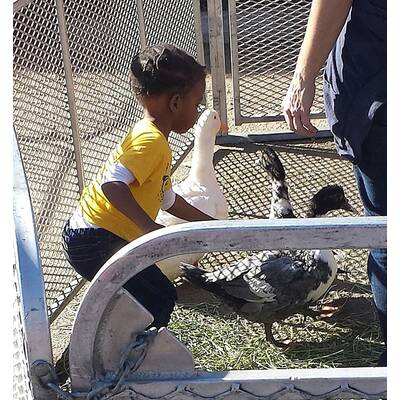 Kristin Davis mit Tochter am Farmer's Market
