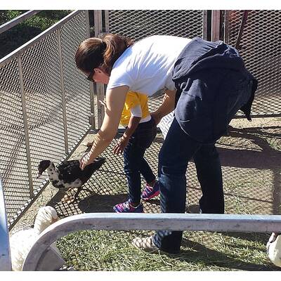 Kristin Davis mit Tochter am Farmer's Market