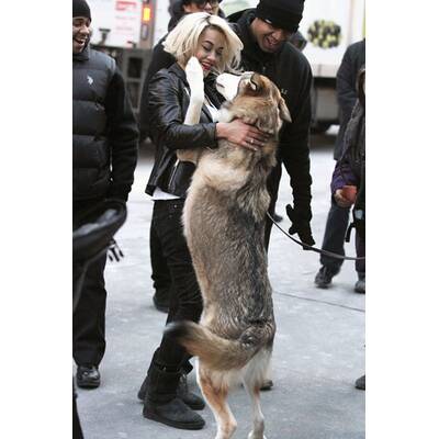 Rita Ora spielt mit Hund