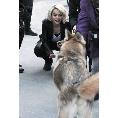 Rita Ora spielt mit Hund