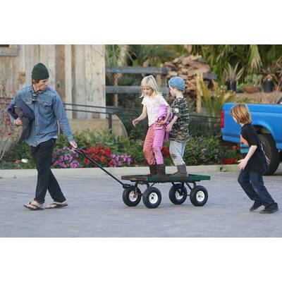 Hazel, Phinnaeus und Henry beim wilden Spiel