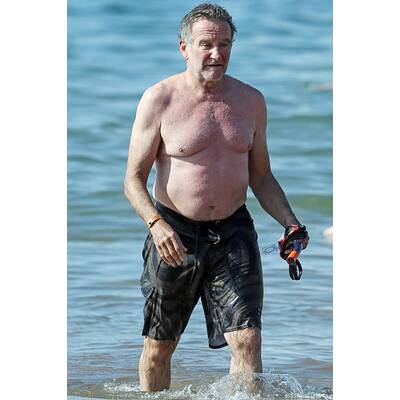 Robin Williams (1951 - 2014)