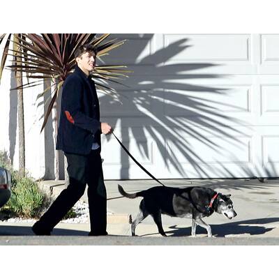 Ashton Kutcher & Mila Kunis: Morgenspaziergang