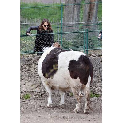 Jessica Alba genießt das schöne Pariser Wetter