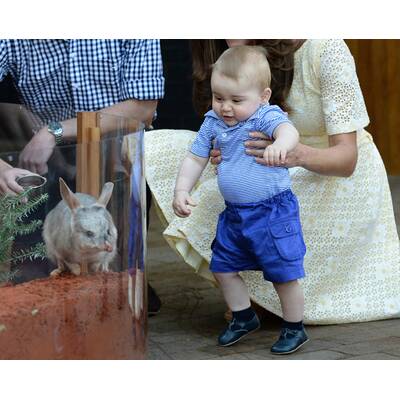 Prinz George: Seine 20 süßesten Bilder