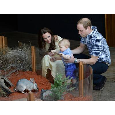 Prinz George wird ein Jahr alt: Seine schönsten Bilder