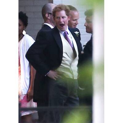 Prinz Harry & Prinz William als Hochzeitsgäste in den USA