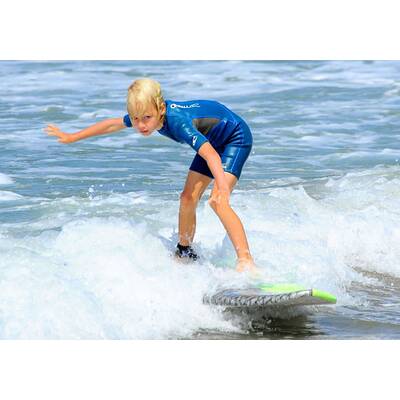 Liev Schreiber: Surfen mit dem Sohnemann