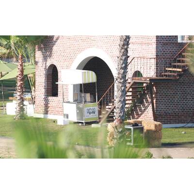 Adam Levine & Behati Prinsloo heirateten vor Stargästen