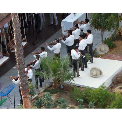 Adam Levine & Behati Prinsloo heirateten vor Stargästen