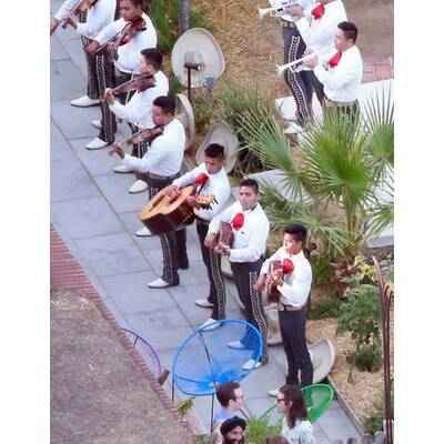 Adam Levine & Behati Prinsloo heirateten vor Stargästen