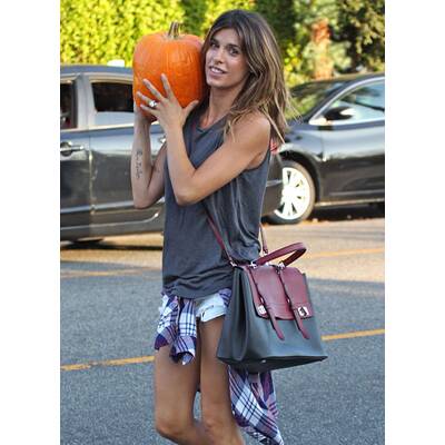 Stars auf der Kürbisjagd