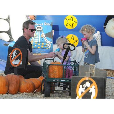 Stars auf der Kürbisjagd