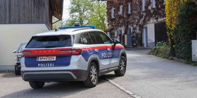 Mord und versuchter Selbstmord in Eberschwang