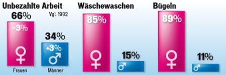 0 Studie - Männer im Haushalt