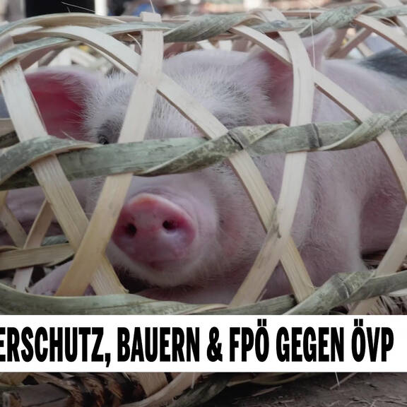 Protest: Tierschutz, Bauern & FPÖ gegen ÖVP
