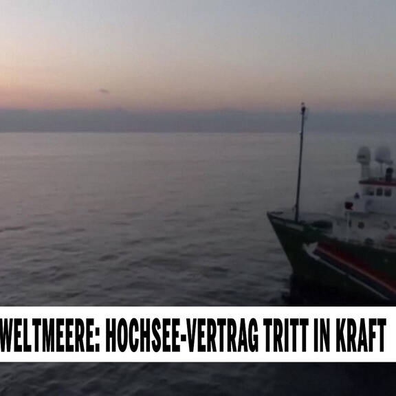 Hoffnung für Weltmeere: Hochsee-Vertrag tritt in Kraft