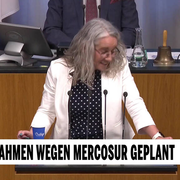 Neue Maßnahmen wegen Mercosur geplant