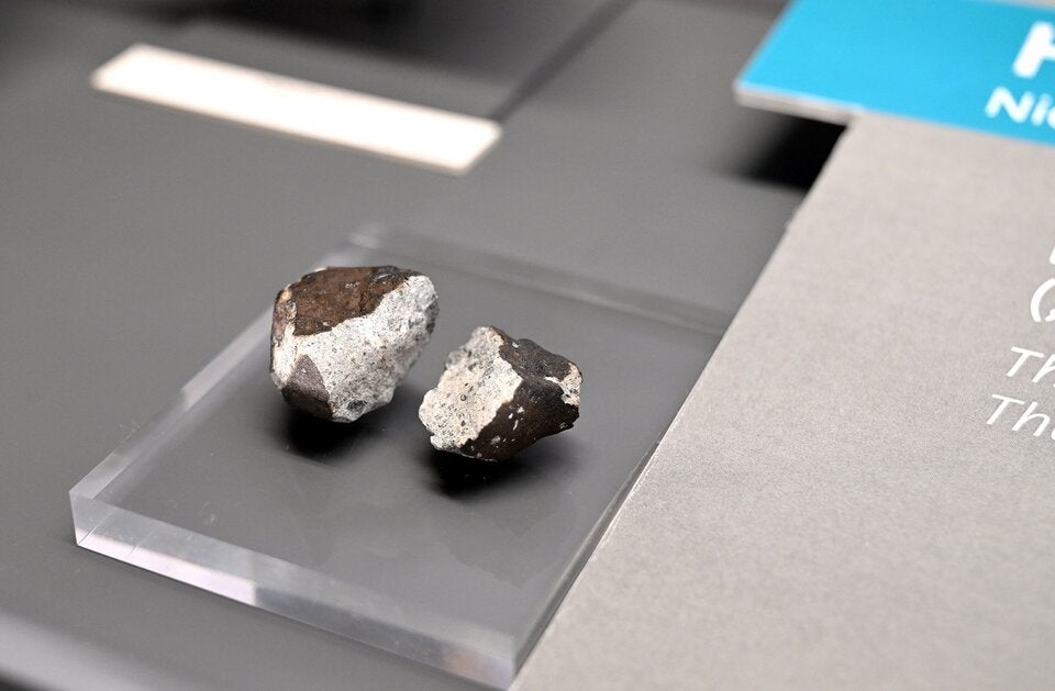 Haag-Meteorit im Naturhistorischen Museum.