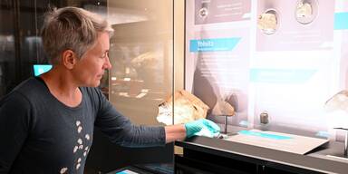 Meteorit ist im Museum gelandet