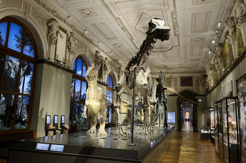 Naturhistorisches Museum Wien