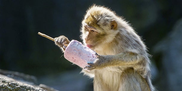 Rekord: Heißestes Wochenende des Jahres