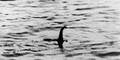 Loch Ness Monster