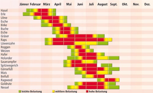So heilen Sie jetzt Ihre Allergien
