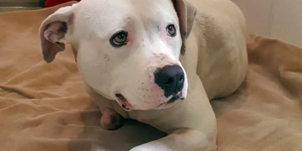 Ein kleines Detail auf diesem Foto birgt ein grausames Geheimnis