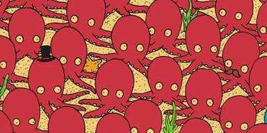 Finden Sie hier den Fisch?