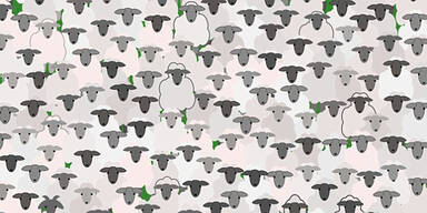 R&auml;tsel: Wo versteckt sich die Ziege?