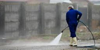 Vogelgrippe Symbolbild