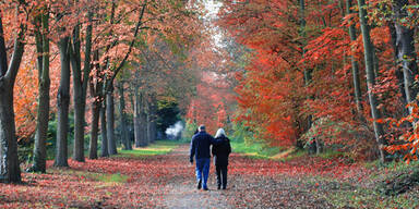 Wie Sie sich jetzt vor Viren schützen