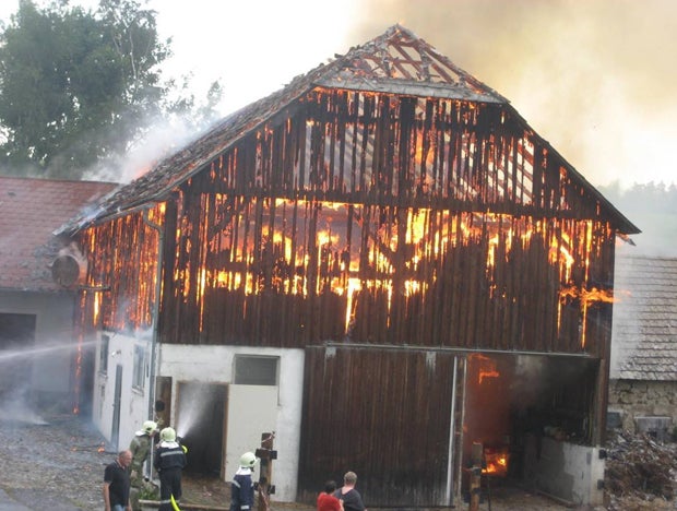 Feuer-Inferno: Zehn Kühe aus brennender Scheune gerettet