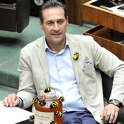 Die Bilder zur Bienen-Sitzung