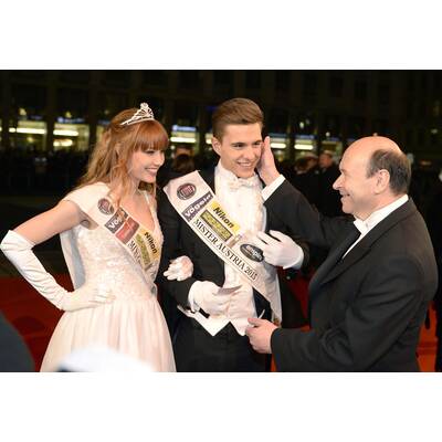 Die Gäste treffen am Opernball 2014 ein