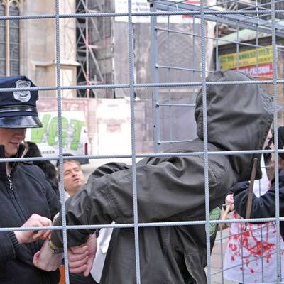 Pelzgegner demonstrieren am Stephansplatz