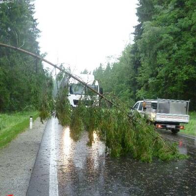 Sturmböen im Mühlviertel