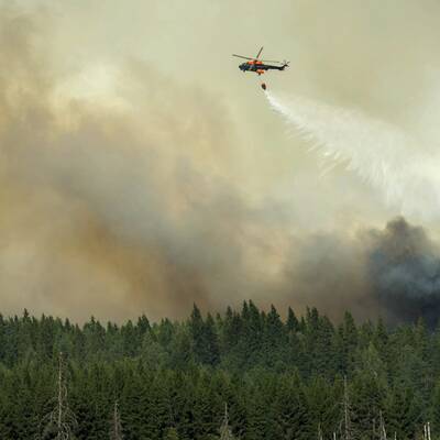 Größter Waldbrand aller Zeiten