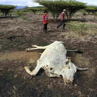 Viel zu wenig hat es geregnet