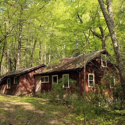 1999 wurde der Park aufgelassen und verfällt seither im Wald