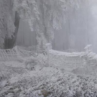 Waidhofen an der Thaya, NÖ