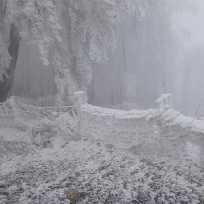 Waidhofen an der Thaya, NÖ