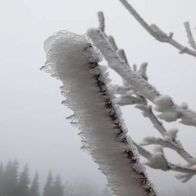 Ausnahmezustand in Ottenschlag